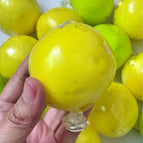 lemon
