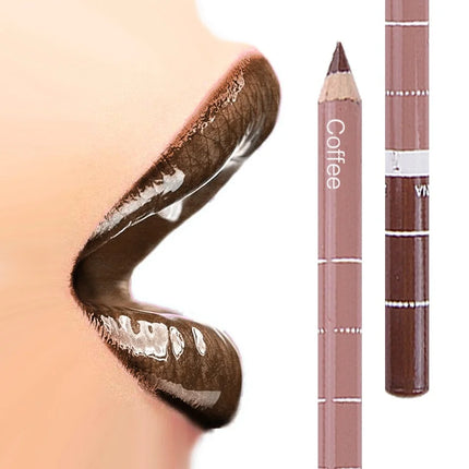New 2025 Hot Sale New 12 Color 1Set Professional Metal Makeup Pencil Lipstick Suitable Women's Makeup Matching Lipstick Supplies