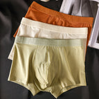 4 / L / 3pcs