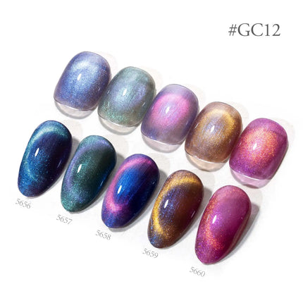 10ml*1pc Venalisa Nail Gel Polish Hema Free TPO Free Color Diamond Sparkle Magnet 10DCat Eye Gel Soak Off UV LED Varnish Gel Kit