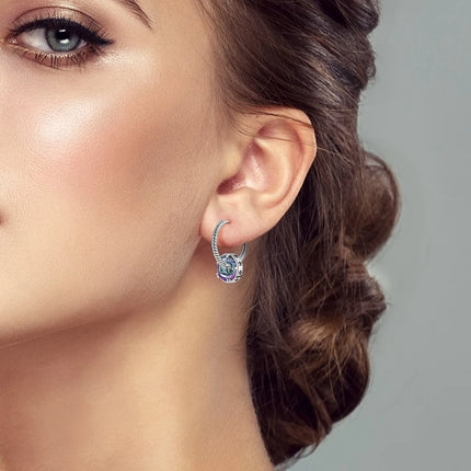 Orstarry 925 Sterling Silver Crystal Circular Eardrops Drop Earrings Women Earrings Charm Fashion Versatile Party Jewelry Gifts