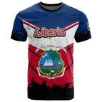 Tshirt-HWH48637 / 160 (13T-14T)