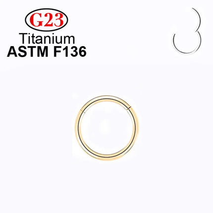 1/10pcs Wholesale Nose Ring Piercing G23  Titanium Clicker Ear Cartilage Earring Helix Septum Rings Body Jewelry Earrings Women