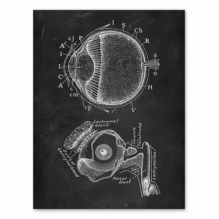 Human Anatomy Artwork Medical Clinic Wall Picture Skeleton Organ Muscle System Vintage Canvas Print Body Education Poster
