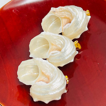 5pcs 25-40mm Conch Shell-Shaped Pendants Natural Shell Semi-Finished Charms for Jewelry Making DIY Necklace Bracelet Accessories