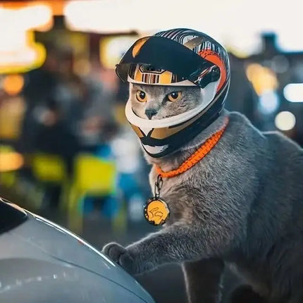 Pet Helmet For Cats Small Dogs Chinese Lion Dance Pattern ABS Buckle Outdoor Travel Photo Prop