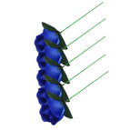 B5PCS
