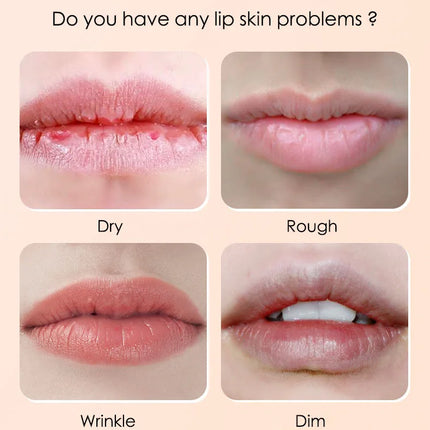 Moisturizing Fruit Lip Balm Anti-wrinkle Refreshing Anti-Cracked Lips Balms Lip Gloss Lips Plumper Skin Care Products for Lips