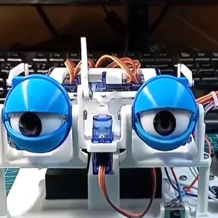 APP Control and Joystic Control SG90 Robotic Eye For Arduino Robot Eyes DIY Kit 3D Printing ESP32 Programmable Robot Starter Toy