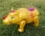 rhinoceros 2