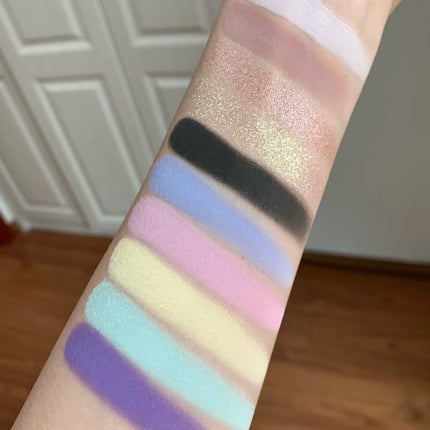 DRAMO 10 Colors Eye Shadow Palette Matte Glitter Eyeshadow Pigments Waterproof Earth Color Shimmer chameleon Cosmetics
