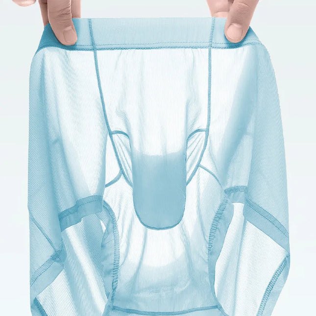 2pcs Solid Color Boxer Shorts Men Seamless Nylon Ice Silk Underwear U Pouch Male Panties Plus Size M-XXL