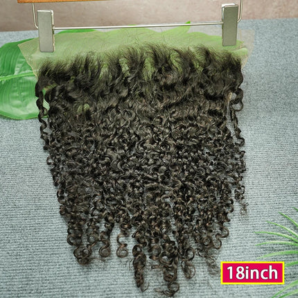 Burmese Curly 13x4 13x6 Lace Frontal Melt Skins Invisible Lace Pre Plucked Transparent Lace 100% Raw Virgin Human Hair #1B Color