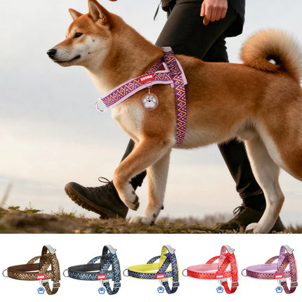 Dog Harness Fashion Printed Saddle, Soft Adjustable No-pull Padded  Vest with Handle for pet all  Breeds