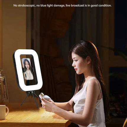Roreta New Handheld Ring LED Rechargeable Portable Mobile Phone Live Broadcast Photography Desktop Rabbit Cage Selfie fill Light