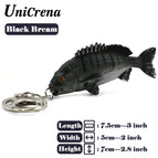Black Bream