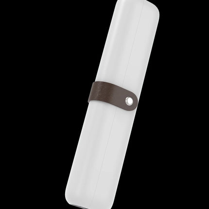 HOMEFISH Rechargeable Mini UV light toothbrush sanitizer sterilizer case for for Traveling