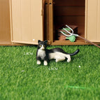 Mini Cat -39