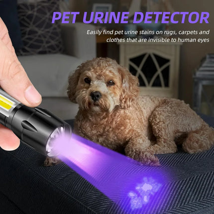 Portable USB Rechargeable Mini UV Flashlight Zoomable Ultraviolet Torch 365nm Pet Detector Violet Waterproof Outdoor Flashlights