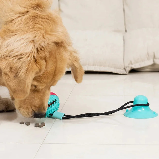 Dogs Food Toys Silicone Suction Cup Tug Interactive Dog Ball Toy For Pet Chew Bite Tooth Cleaning Toothbrush Feeding Pet Supplies