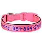 Pink / XL