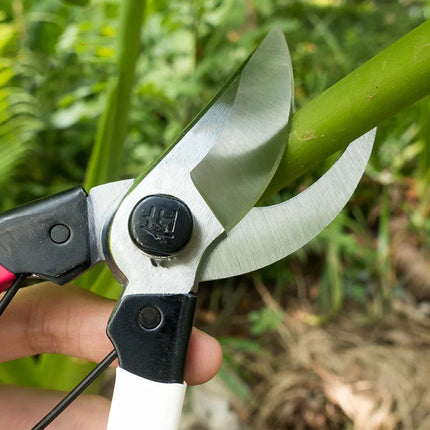 Pruner Garden Scissors Professional Sharp Bypass Pruning Shears Tree Trimmers Secateurs Hand Clippers For Garden Beak Scissors