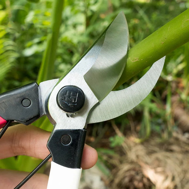 Pruner Garden Scissors Professional Sharp Bypass Pruning Shears Tree Trimmers Secateurs Hand Clippers For Garden Beak Scissors