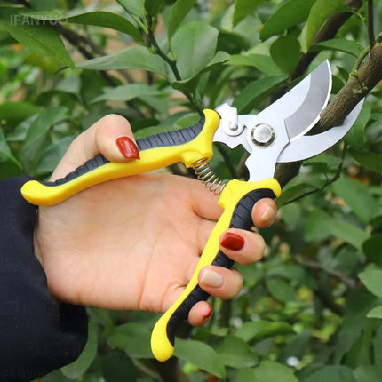 Stainless Steel Garden Scissors Set Gardening Shears Set Fruit Grape Thinning Pruning Shears Straight Gardening Flower Scissors