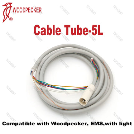 Original Woodpecker DTE Dental Ultrasonic Scaler Handpiece LED Light HW-6L HW-5L HD-7L HD-7H HW-3H Fit EMS NSK SATELEC ACTEON