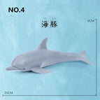 dolphin