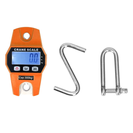 Crane Scale / Balance Suspendue