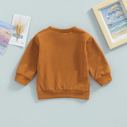 Citgeett Autumn Toddler Boy Girl Pullover Sweatshirt Casual Letter Printed Long Sleeve Tops Fall Spring Clothes