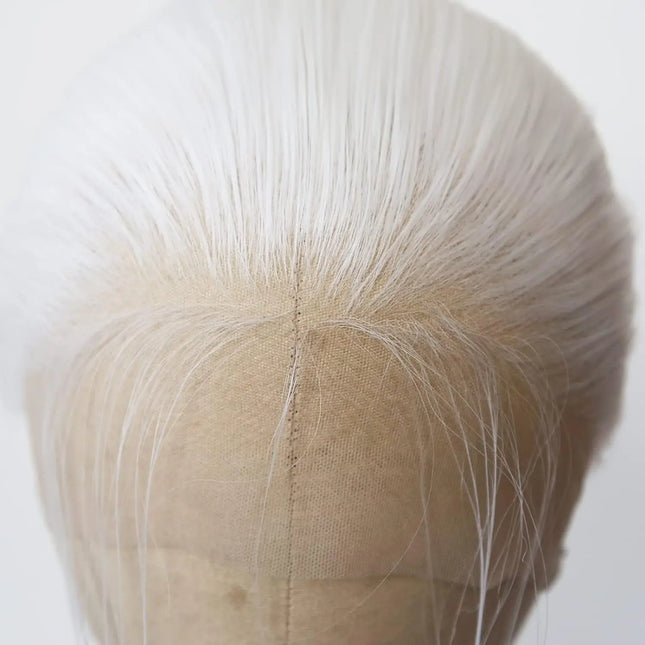 Long Straight Lace Front Wigs Platinum White Natural Heat Resistant Synthetic Hair Half Hand Tied Wigs for Cosplay Daily Wear