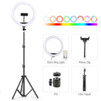 33CM RGB Kit 4