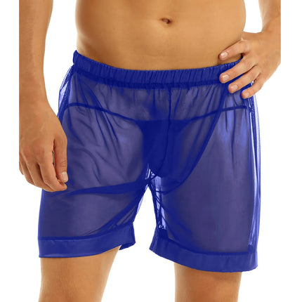 Men's Lingerie Mesh Sheer Loose Fit Boxer Shorts Male Underwear Transparent Underwear Swimming Trunks Summer Thin Beachwear