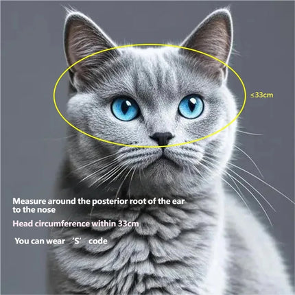 Pet Helmet for Cat Small Dog Pink Butterfly Pattern ABS Buckle Adjustable Strap Outdoor Riding Travel Safety Hat Photo Prop