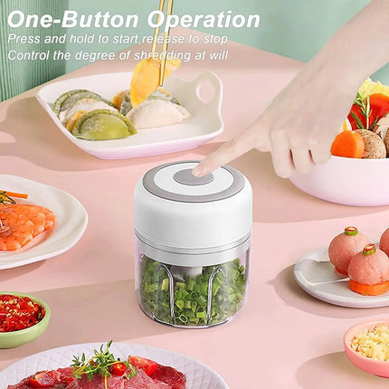 Mini Crusher Chopper USB Charging Garlic Mincer Electric Garlic Chopper Powerful Ginger Garlic Onion Meat Masher 100/250mL