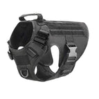 Black Harness / XL
