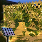 Green Dill / 100LED