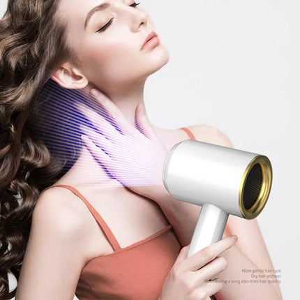 High Speed Hair Dryer Professional Salon Home High Power Dryer Two Speed Hair Styling Constant Temperature Hair Care Dryer