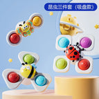Insect