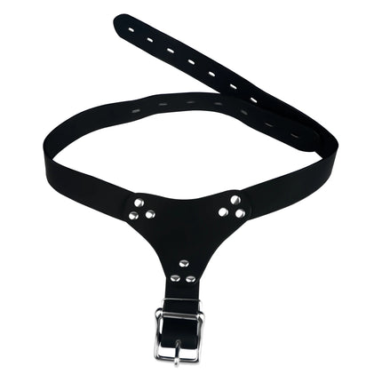 LEZEE Sissy Chastity Belt Harness For Male Chastity Cage Auxiliary Lock Belts Penis Bondage Band Underwear BDSM Sex Toys For Men