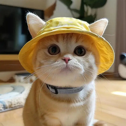 Fisherman Cat Sun Hat UV Protection Summer Kitten Cap Cute and Lightweight Pet Hat for Outdoor Walking and Adventure