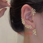 Gold-Right ear 1