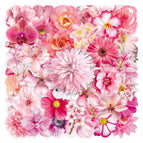 50pcs