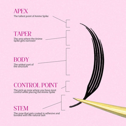 LAKANAKU New Arrival Narrow Spire Lashes Feather Individual Eyelash Extensions C D Cashmere Volume Premade Spikes Eyelashes