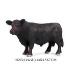 Black Angus Bulls