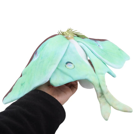 Cute Luna Moth and Rosy Maple Moth Plush Toys Soft Realistic Stuffed Animal Plushie for Kids Insect Lovers Birthday Xmas Gift
