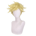 Wig / One Size