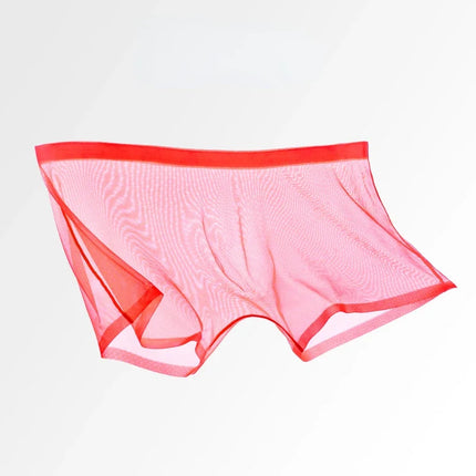 Men's Underwear Transparent Boxers Bulge Ice Silk See Through Underpants Sexy Briefs Low Waist Panties Lingerie Intimates